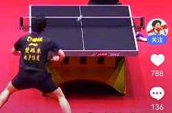 开云平台-日本队轻取波兰队，樊振东扛起全队