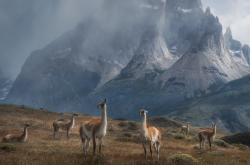 开云体育入口-西决生死战焦点战启示录，奥地利战术体系如何实现对波兰的全面压制