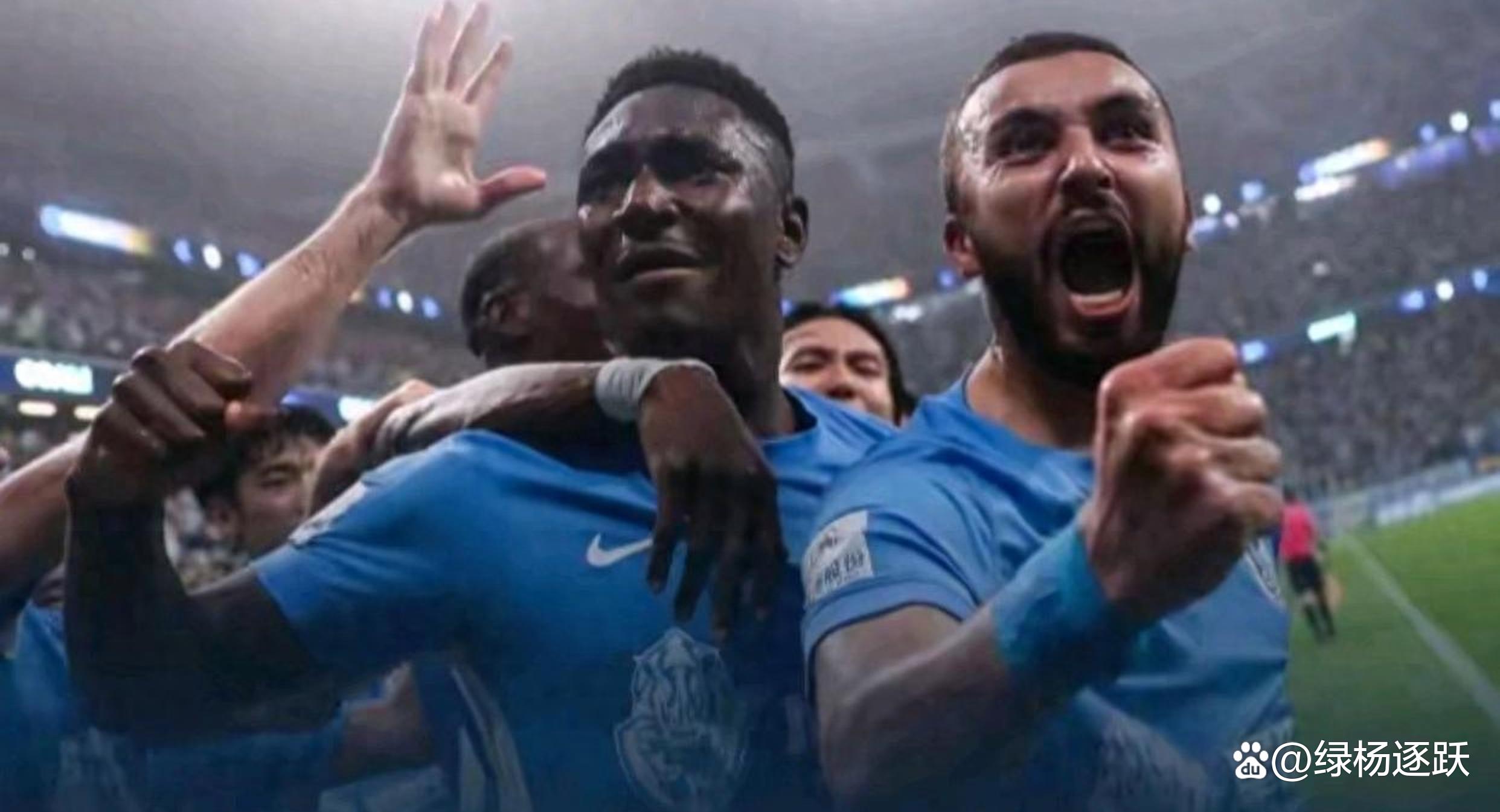 关于汉堡球迷热情呐喊，见证球队胜利的信息